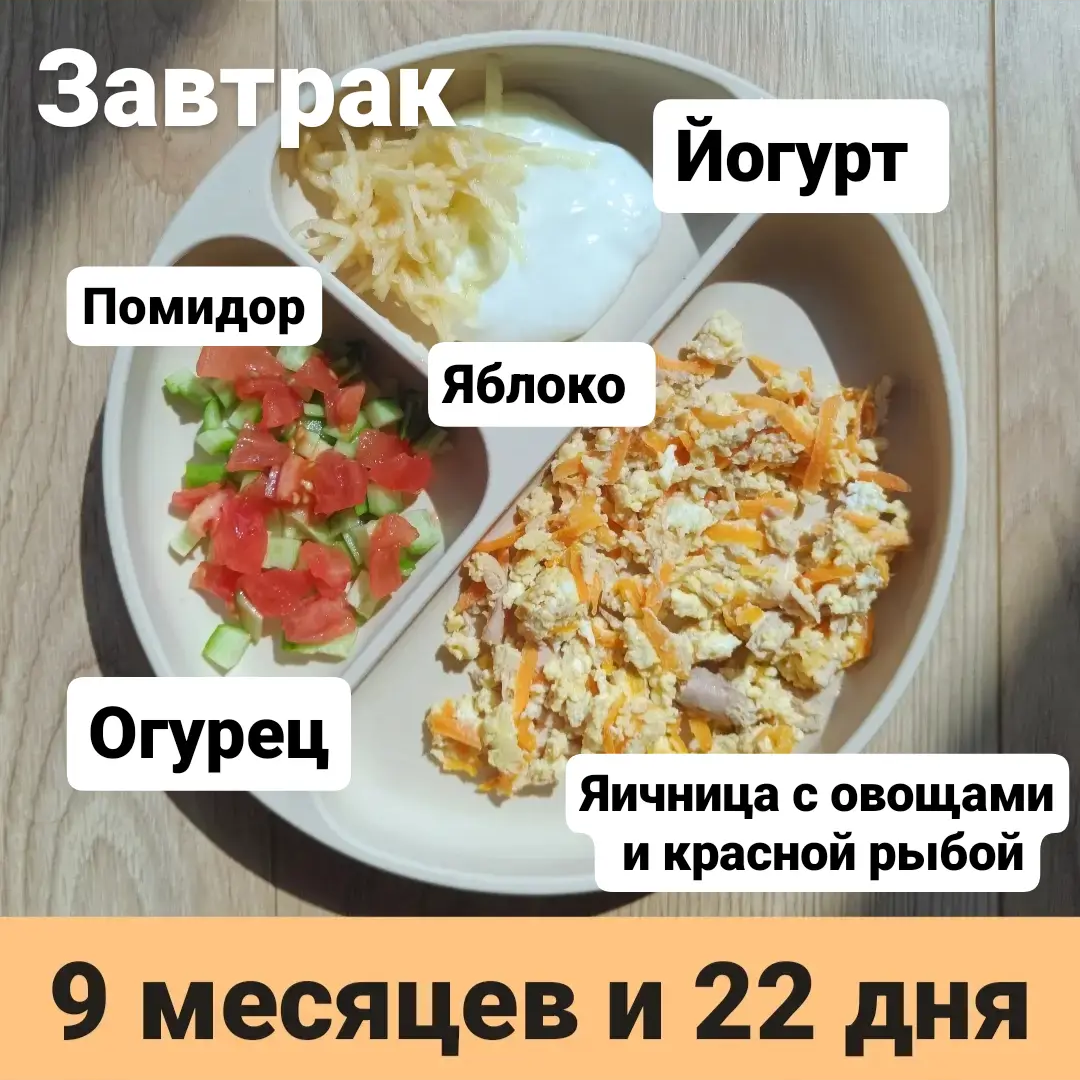 Пример тарелки в 9 месяцев 
