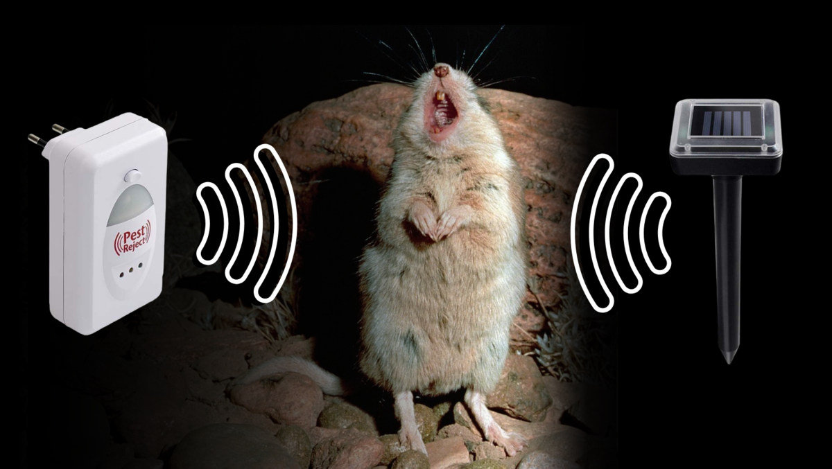 Ультразвуковые отпугиватели мышей