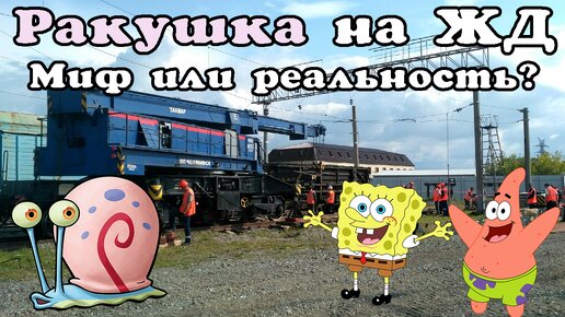 Ракушка на ЖД. Миф или реальность