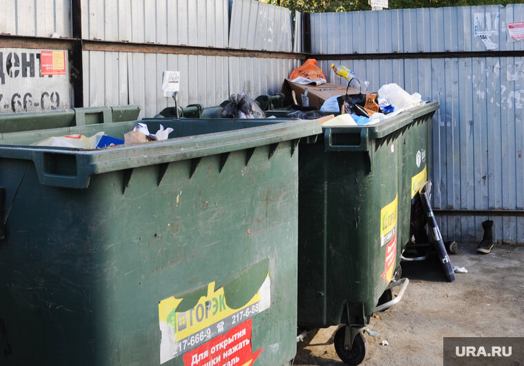    Крысы оккупировали контейнерную площадку (фото из архива)