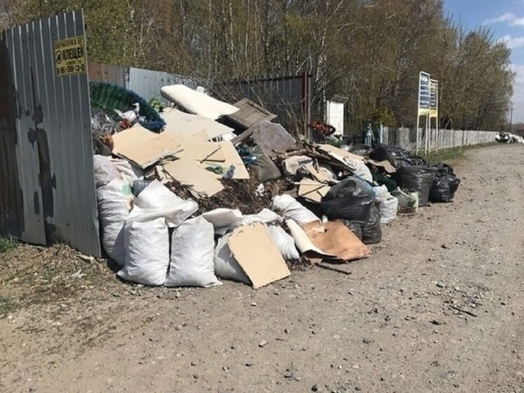 Дорожная карта по ликвидации несанкционированных свалок