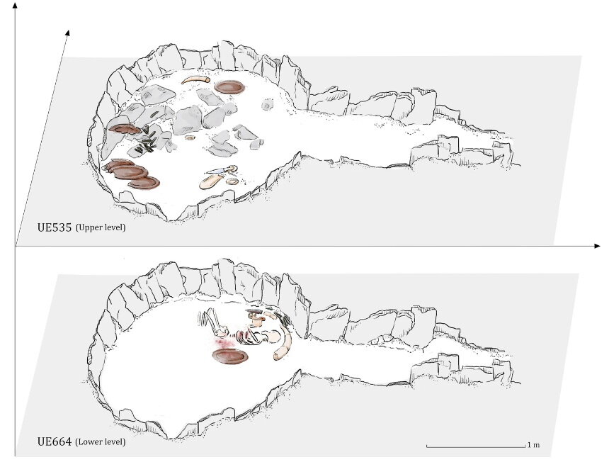     Фото: Marta Cintas-Peña et al.,Scientific Reports, 2023