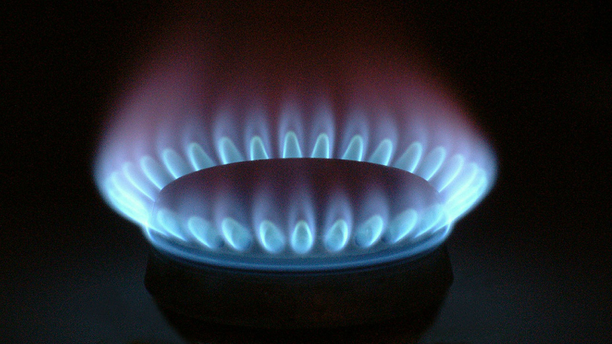 Источник: телеканал "Звезда"