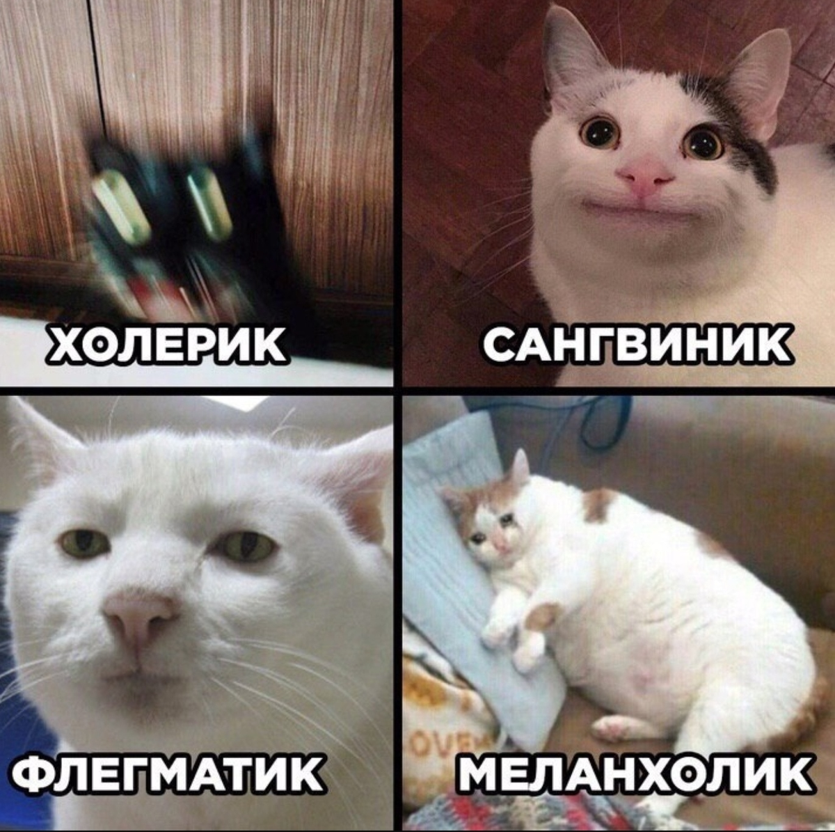 1 задание ЕГЭ по обществознанию: индивид и личность. Источник: https://i06.fotocdn.net/s120/249ee216ed52b8e9/public_pin_l/2746836153.jpg