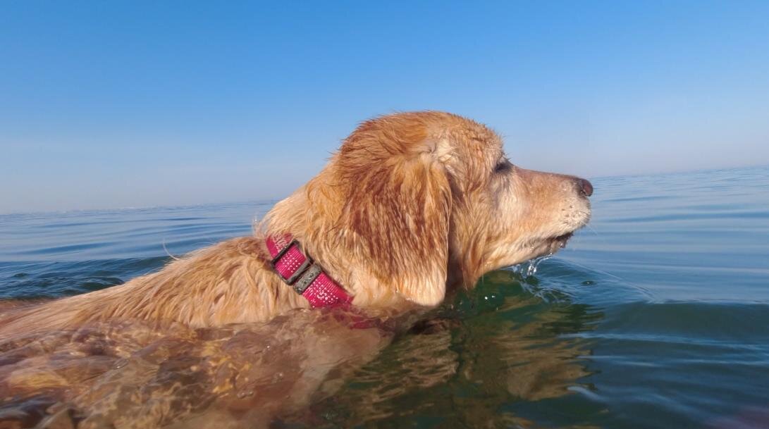 Ляля и море