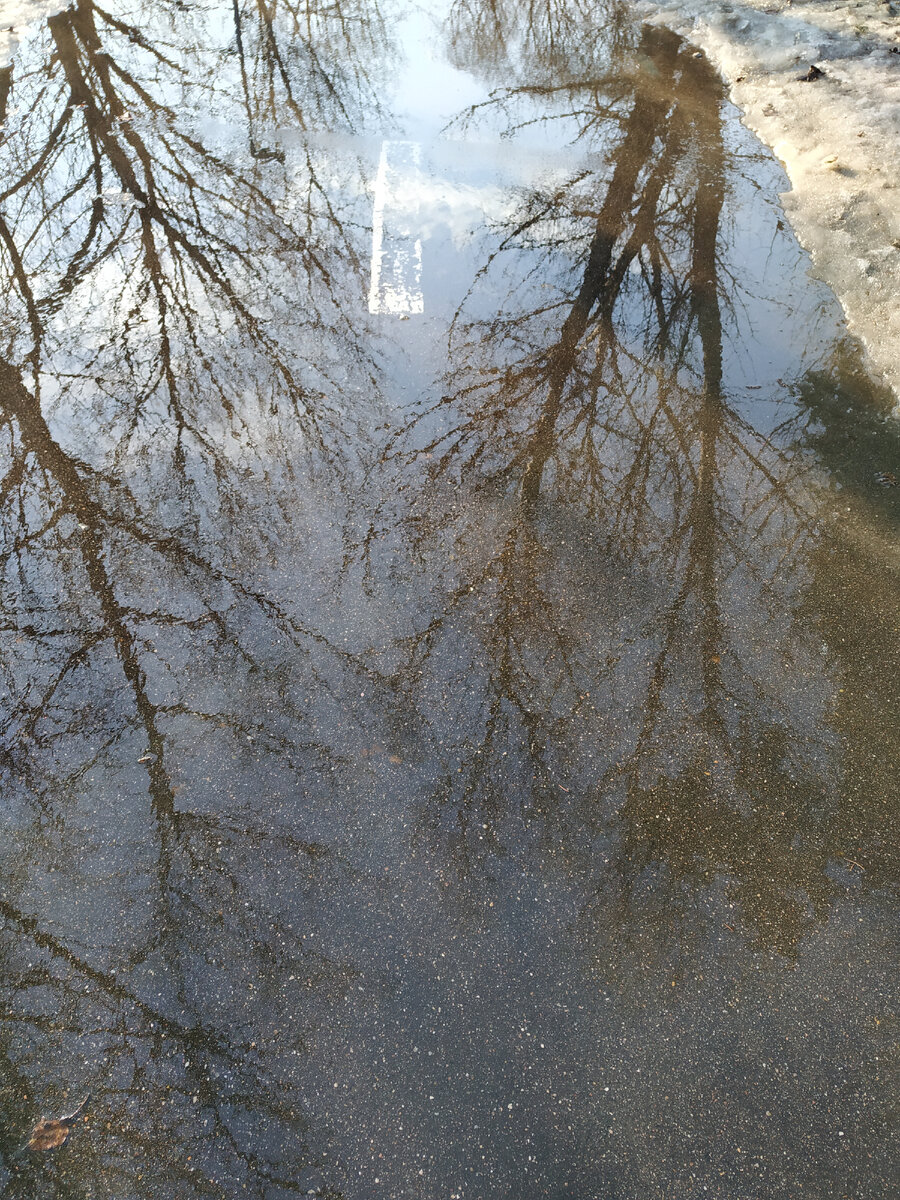 Фото автора. Опять весна 