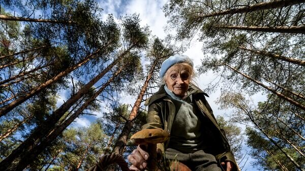    © Sputnik / Константин Чалабов