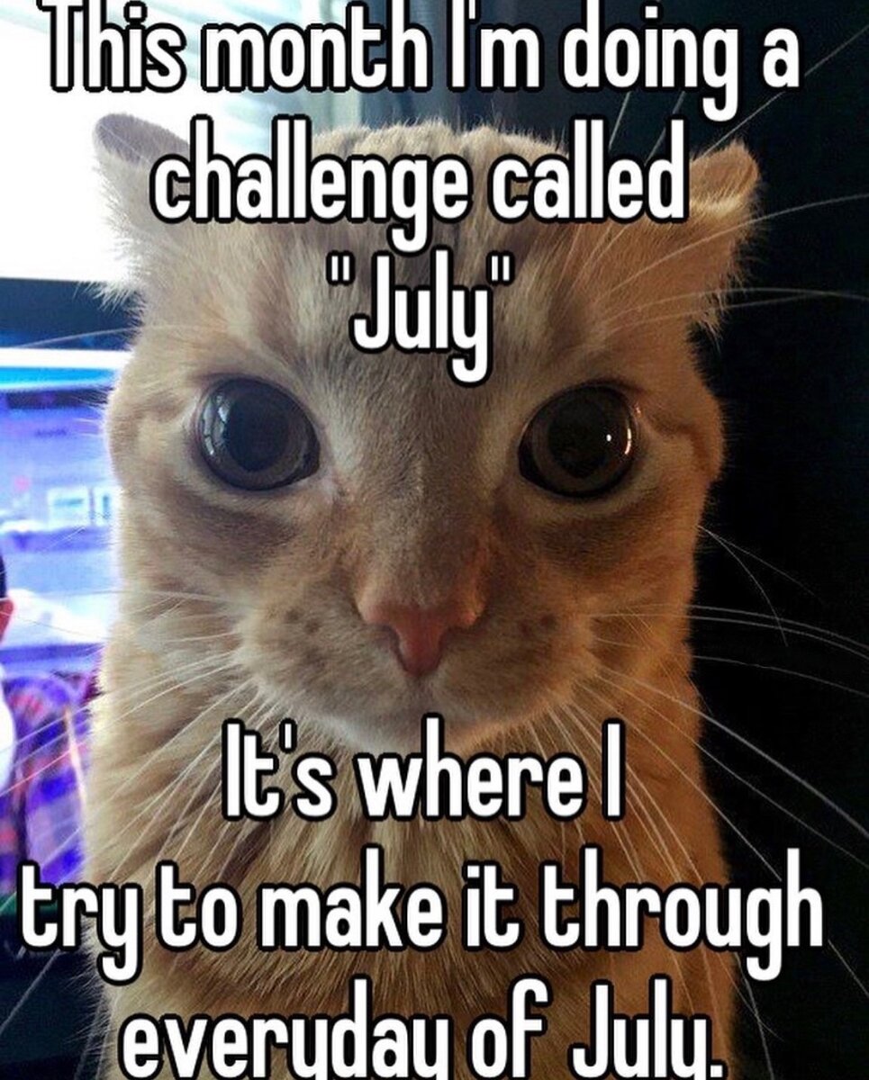 to make it through something - пережить что-либо, продержаться, справиться, выжить