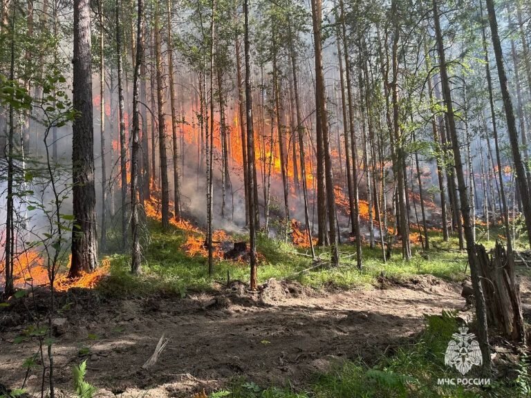    Фото: МЧС по РБ Наталья Оглоблина