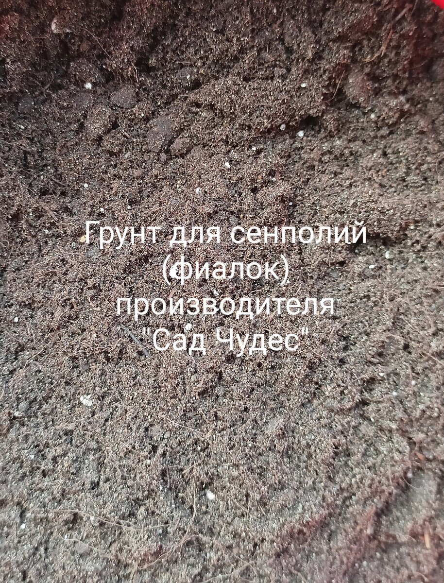 Грунт "Сад Чудес"