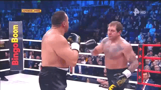 Кокляев пролетает над гнездом кукушки