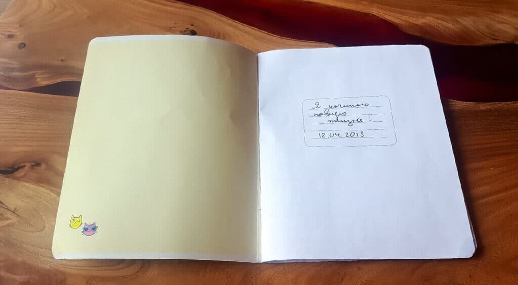 Возьмите тетрадь на 16 листов. Подпишите тетрадь фразой «Я начинаю новую жизнь» и укажите дату. Это необходимо, чтобы вы твердо приняли решение измениться.