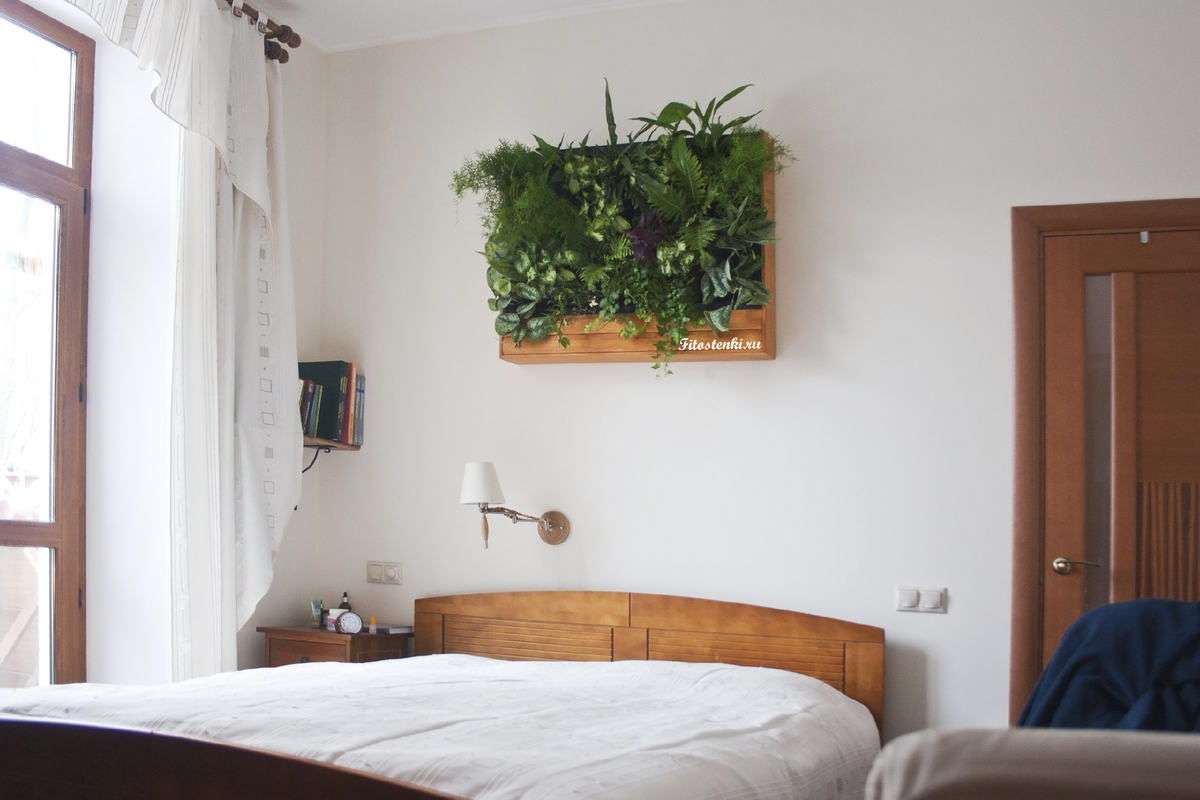 Проект озеленения частной квартиры в г.Москва 