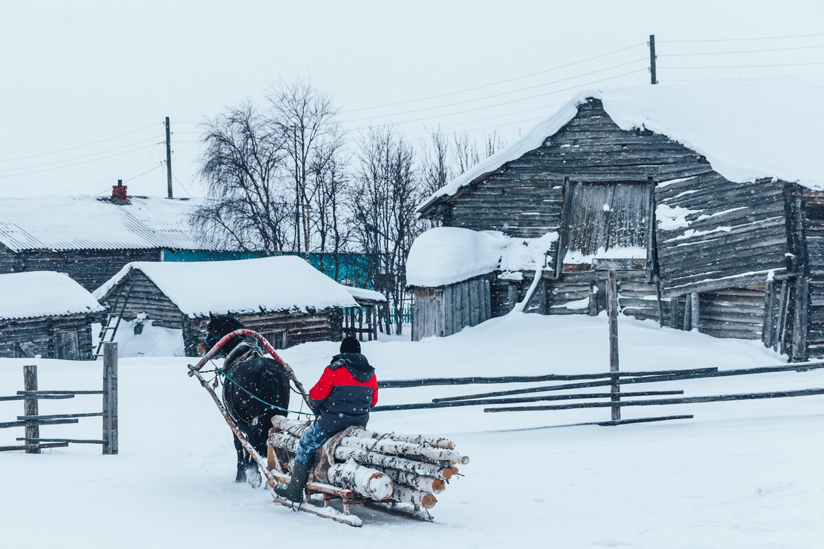 Как выживают в глухой деревне: продают дрова, чтобы заработать на ...