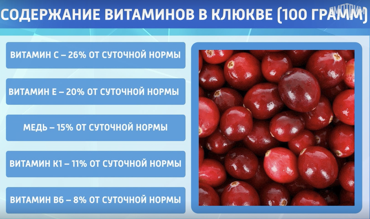 Клюква от всех болезней. Как эта ягода влияет на организм человека и с чем  ее едят? | Анатолий Скальный. Философствующий врач | Дзен