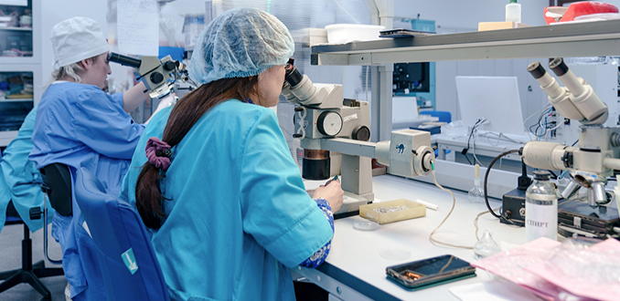 "взято из общего доступа"