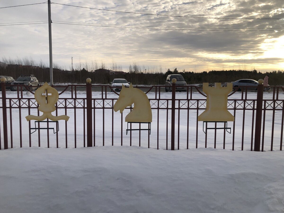 Фото автора. Слон, Конь, Ладья.