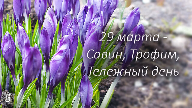Народные приметы, запреты и поверья 29 марта