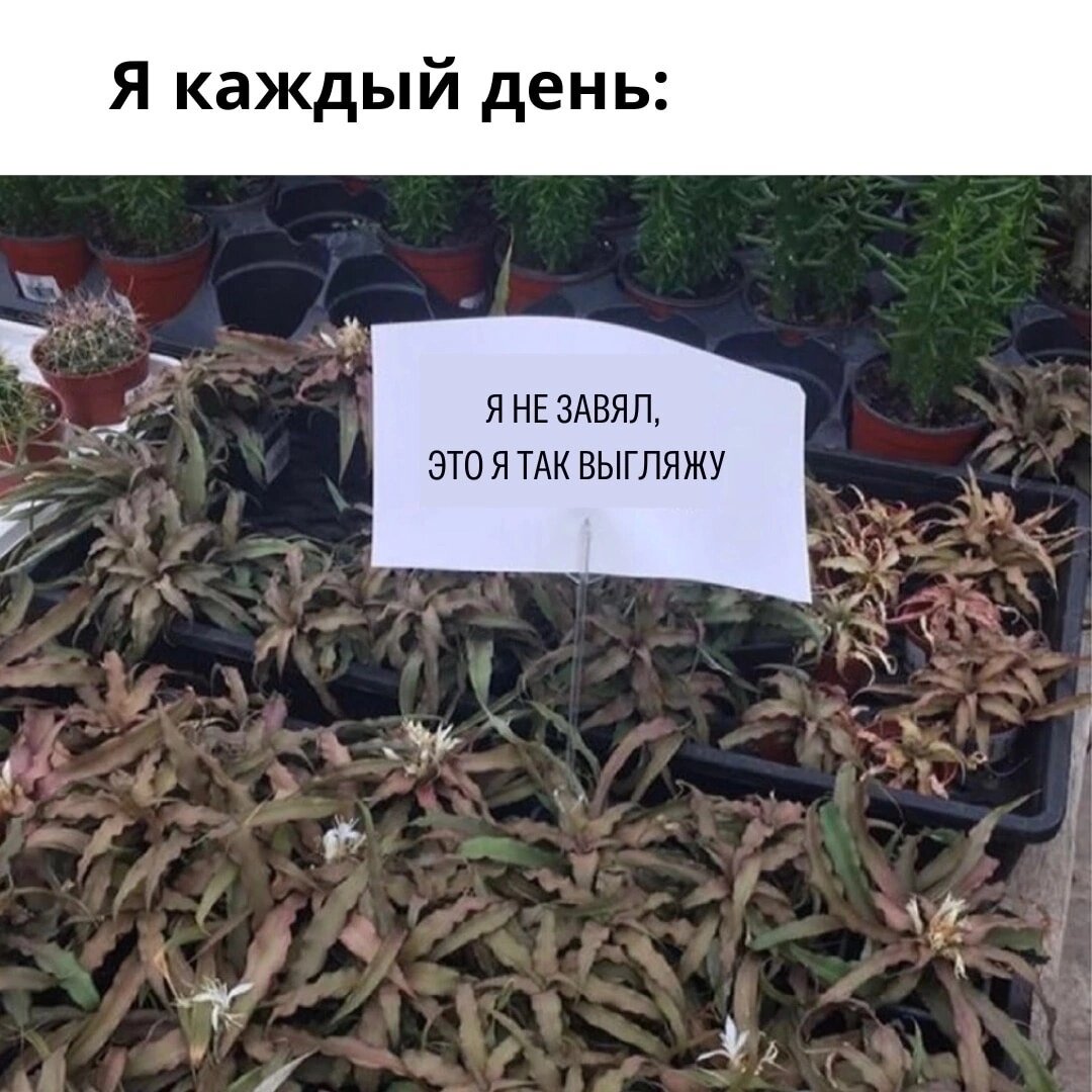 Взято из бесплатного источника 