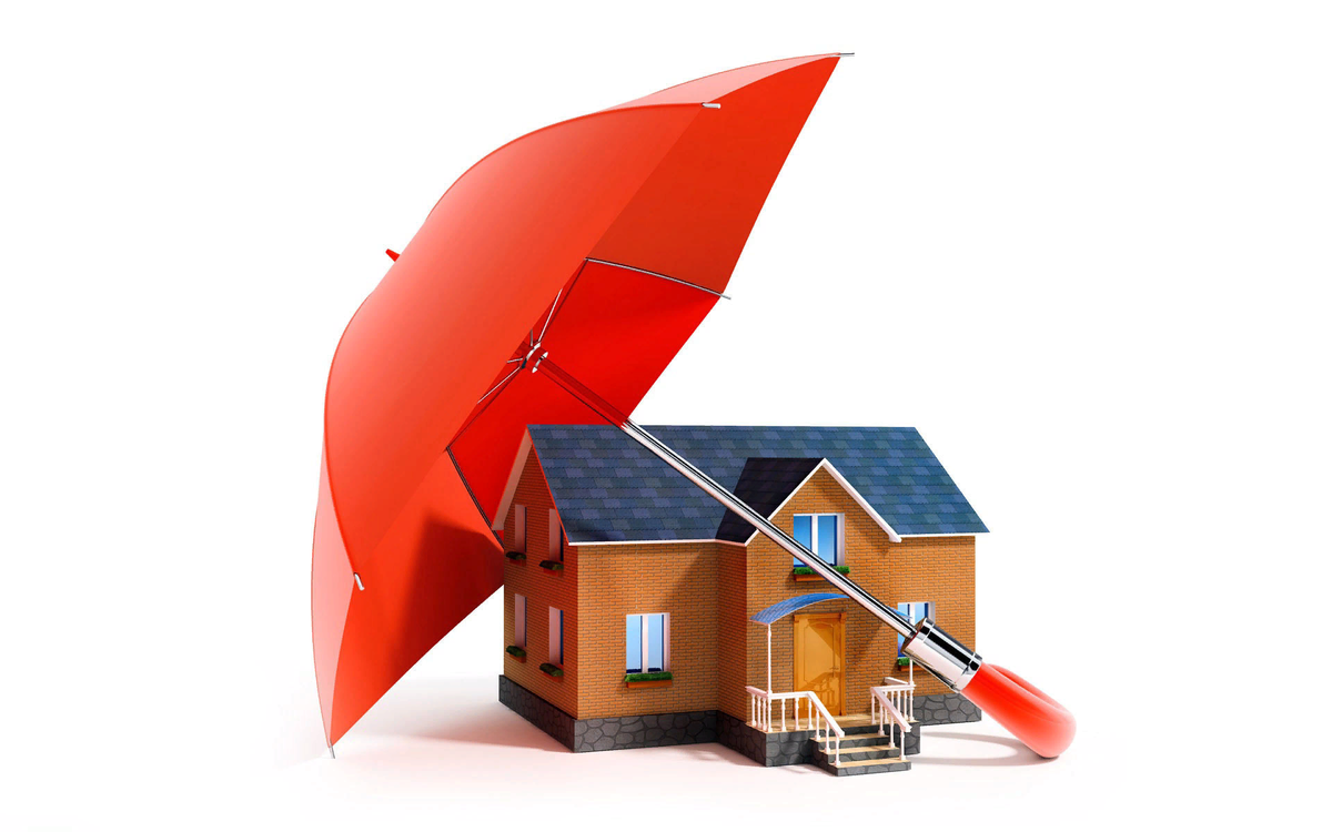 Фото взято с открытых источников.