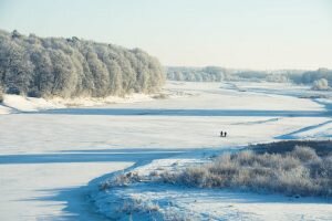    Фото: unsplash.com Ирина Моргунова