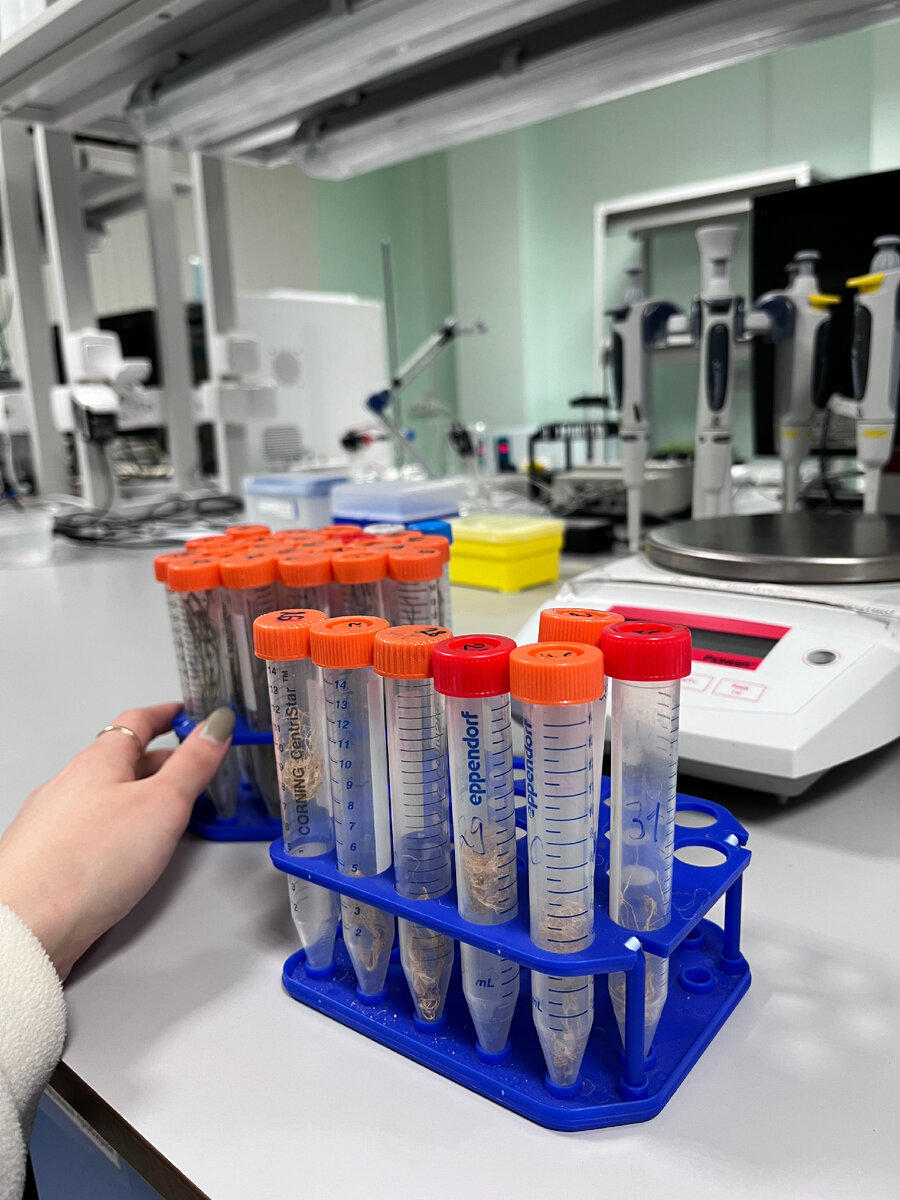 Пробирки с мокрым весом 