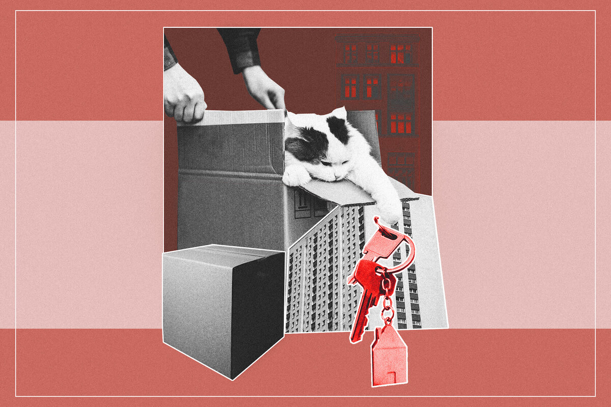 © Иллюстрация: Анна Иванцова 