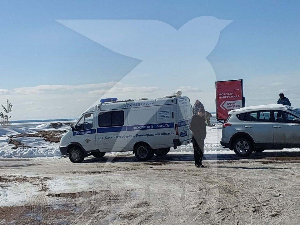     Фото с места, где нашли двух пропавших мальчиков в Петербурге Анастасия ЧЕРНИКОВА