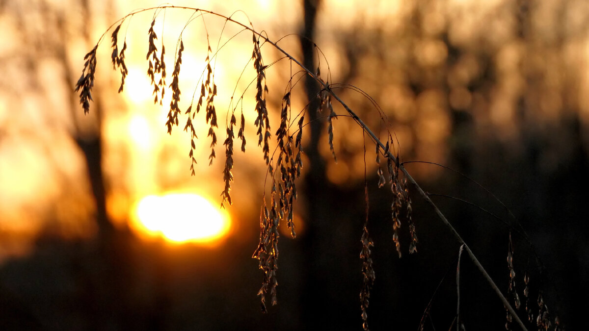 Photo by Patti Black on Unsplash