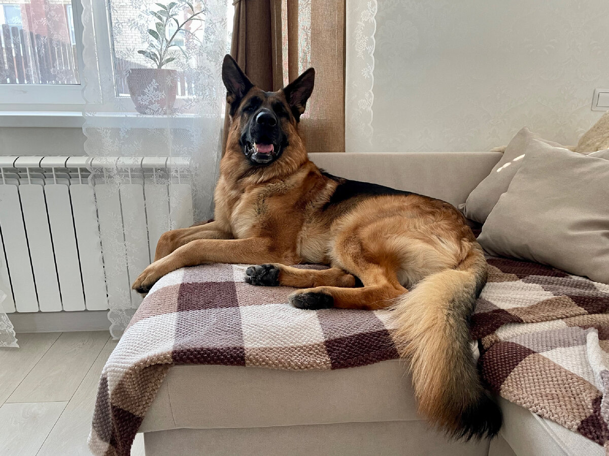 Убирайся, женщина, я проконтролирую! 