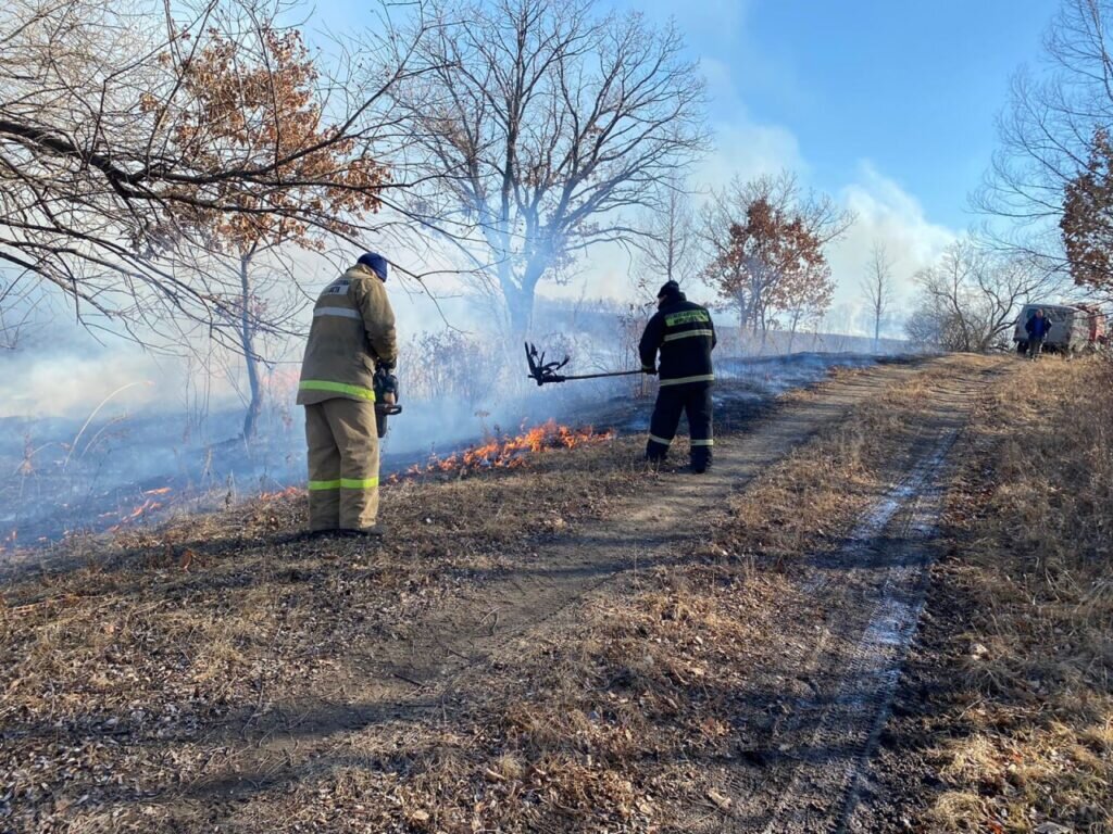    Фото: амурский центр ГЗ и ПБ