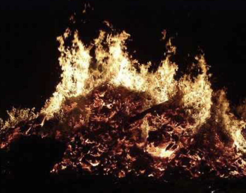 фото горение дров в каминной топке. огонь на белом фоне. огненный фон для фотошопа. эффект сжигания. эффект горения.