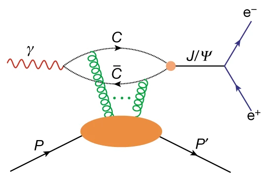   B. Duran et al. / Nature, 2023