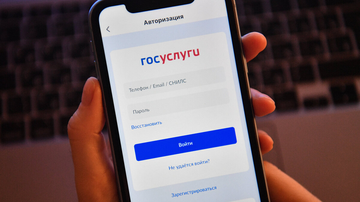    Мобильное приложение Госуслуг© РИА Новости . Александр Кряжев