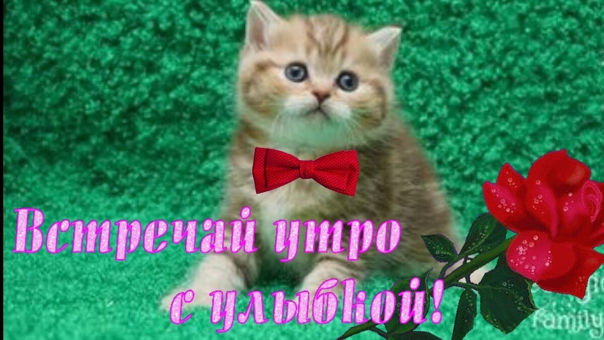 Картинка из интернета.