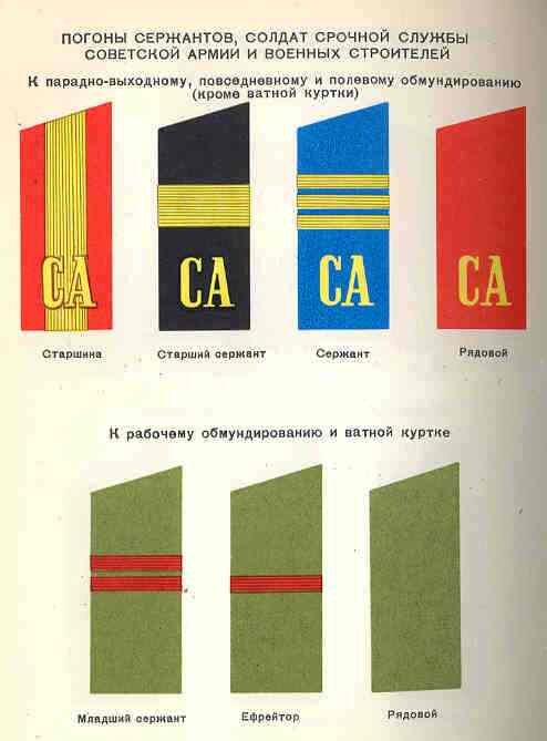 Лычки на погоны полевые Старшина зеленые на усиках 2шт