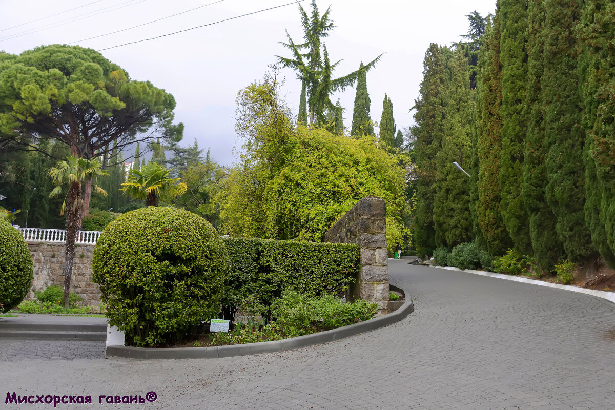 Парк санатория Белоруссия. Мисхор. Крым