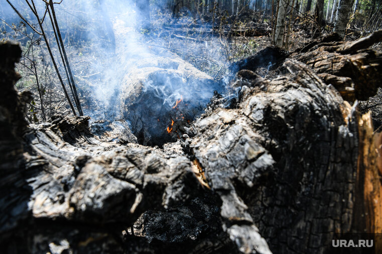    Пожар потушили за три с половиной часа