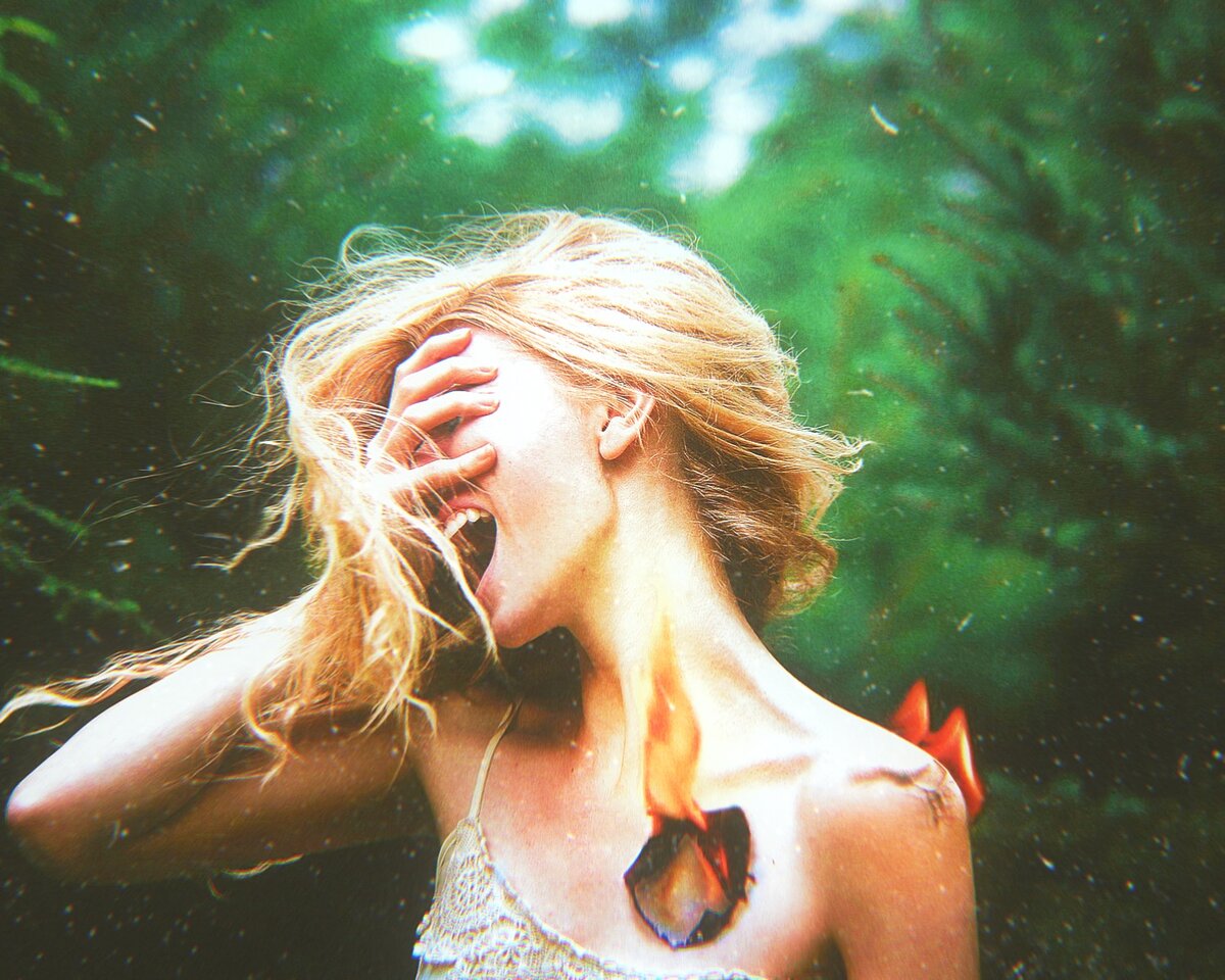 Яндекс Картинки