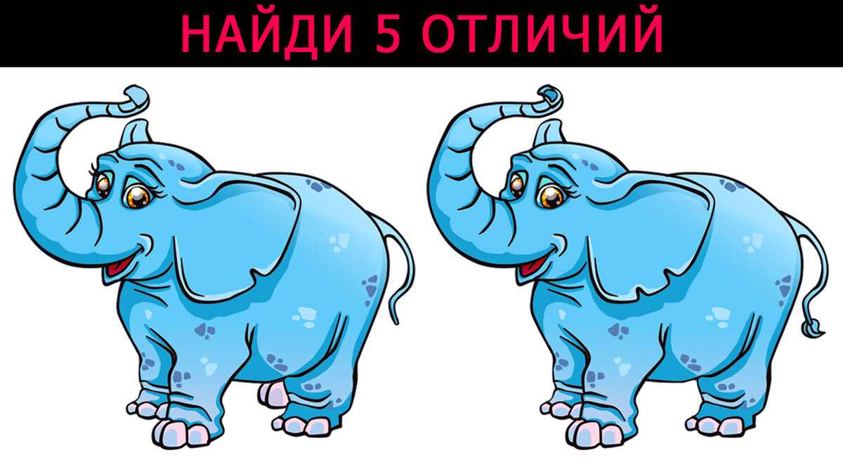 Два слона с пятью отличиями