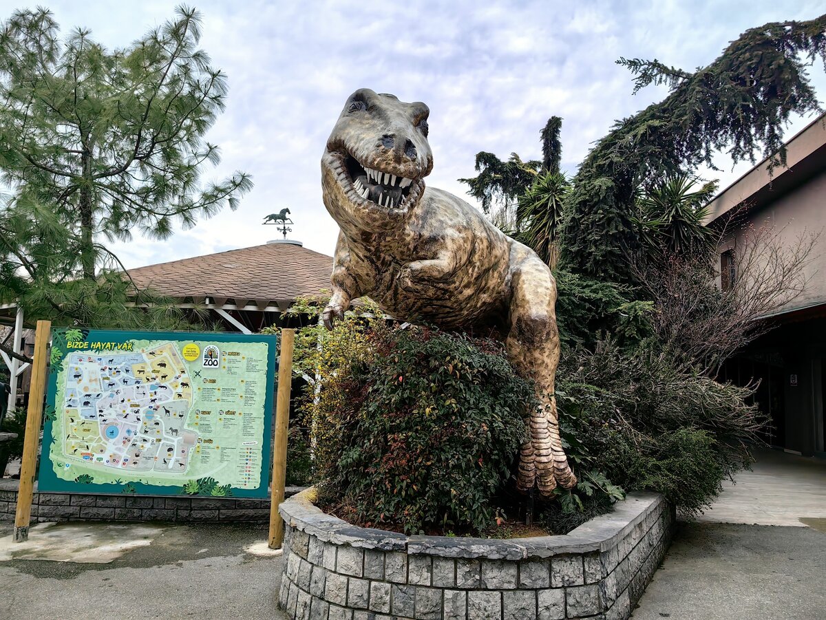 очень улыбчивые ребята!