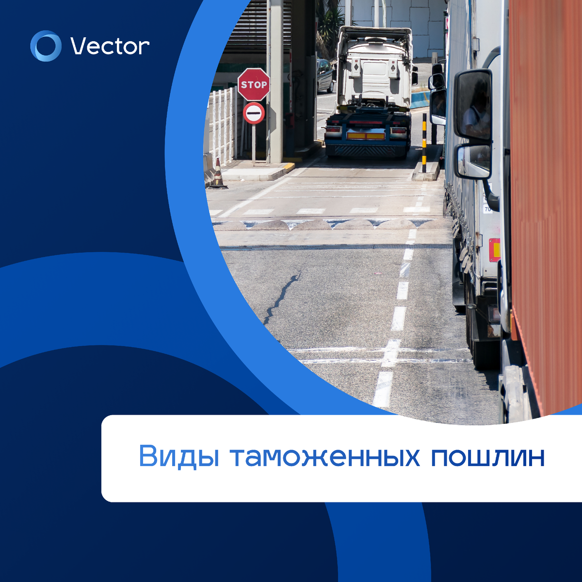 Виды таможенных пошлин | VECTOR BROKER | Грузоперевозки 