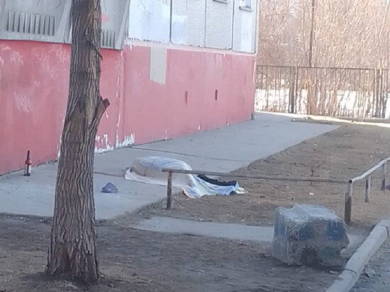    Фото: телеграм-канал "Новосибирск с огоньком"