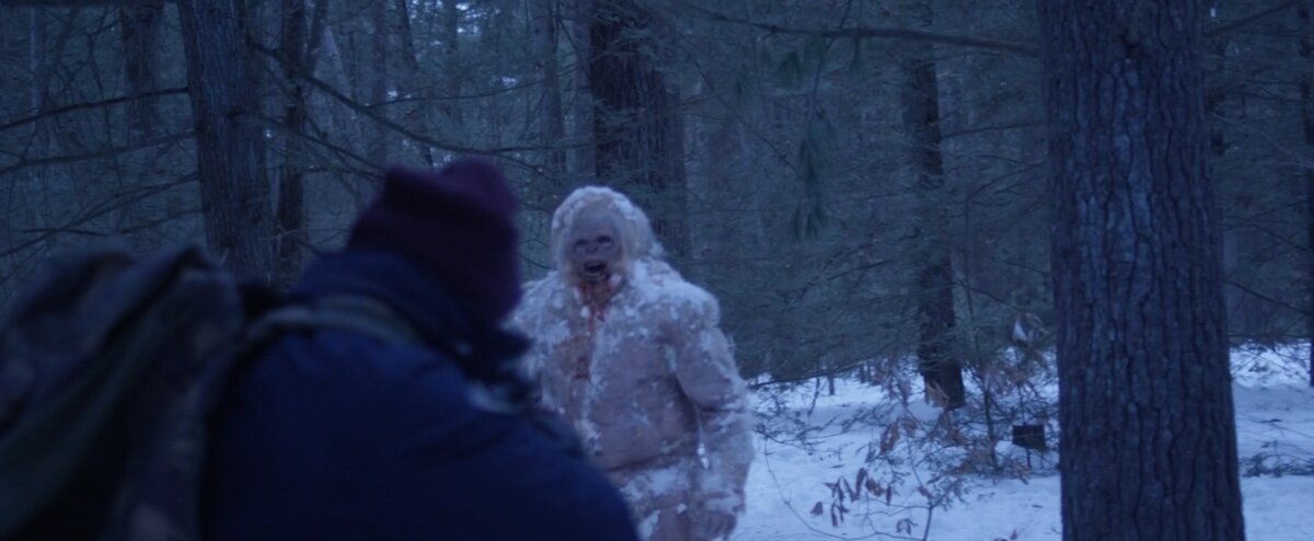 Неожиданная встреча (изображение из открытых источников)