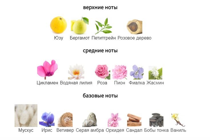 fragrantica.ru