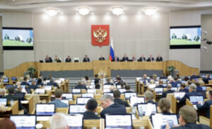    Фото: duma.gov.ru Ирина Амелина