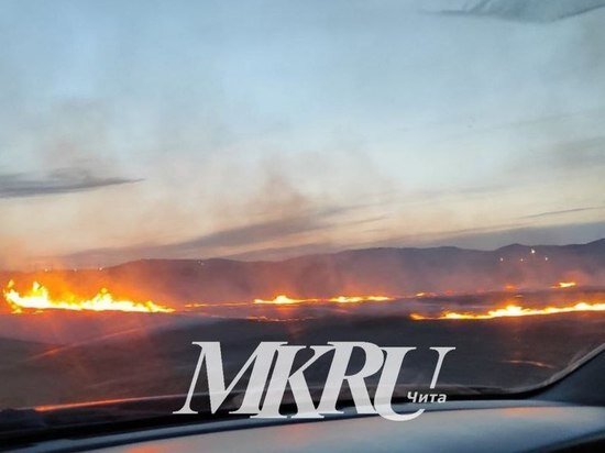     фото читателя «МК в Чите»