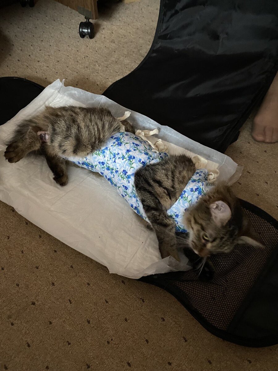 Первый день после операции