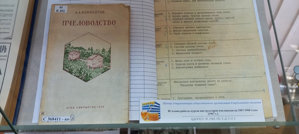    Фото: «АиФ-Урал»/ Алексей Смирнов