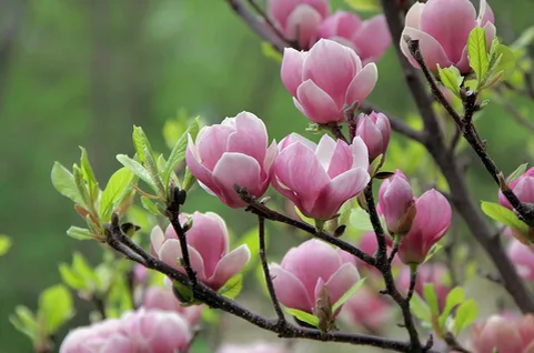 Фото из интернета